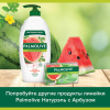  Мыло туалетное 90 г, PALMOLIVE НАТУРЭЛЬ "Летний арбуз", освежающее, 32940, 8693495032940