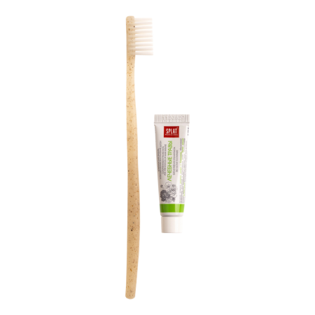  Зубной набор, матовый пакет «Greenery»  / Dental kit